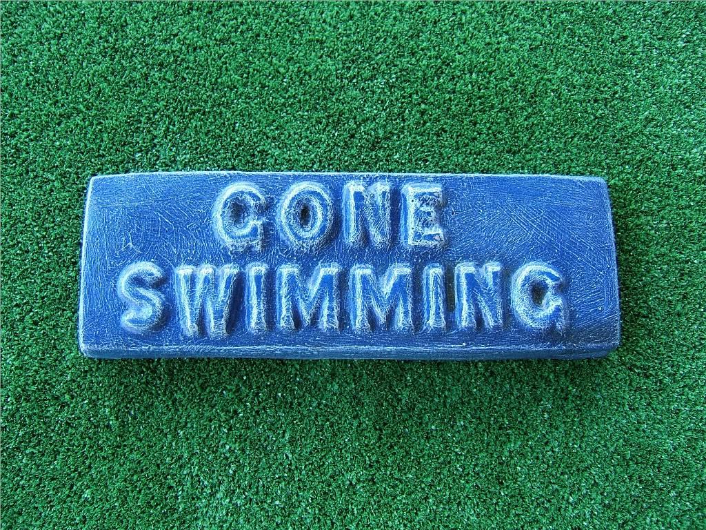 Gone Swimming