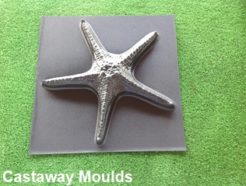 Large Starfish Mould