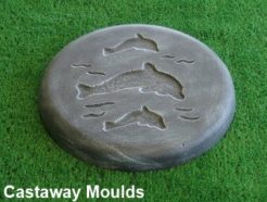dolphin stepping stone