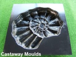 fossil mould