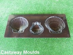 sea shell clams mould
